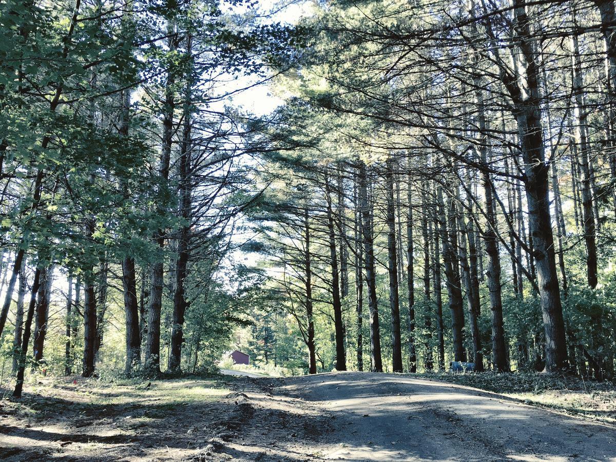 Greensboro Highland Lodge מראה חיצוני תמונה